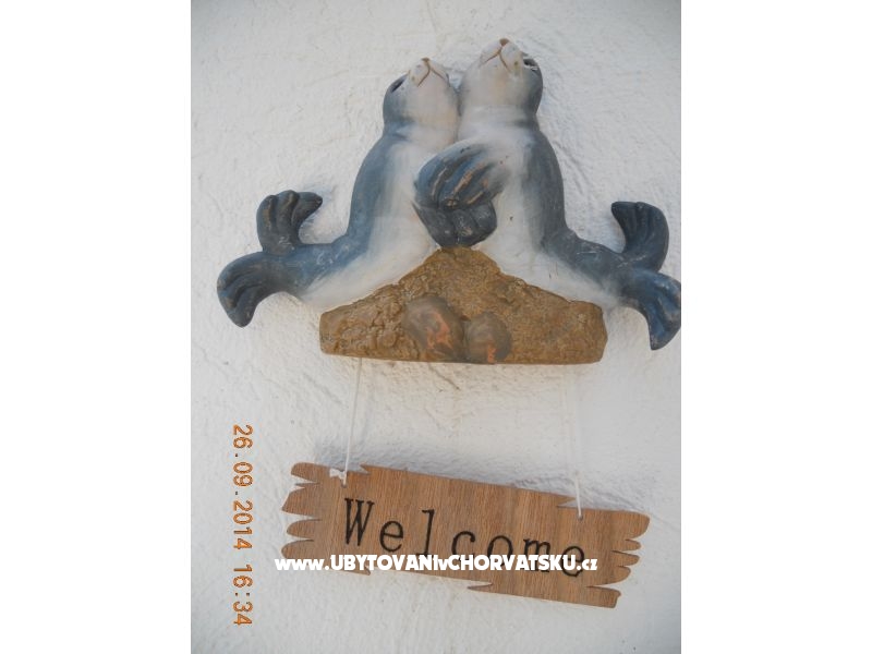 Apartmány Čavala Brač – ubytování Brač, Chorvatsko – foto 17