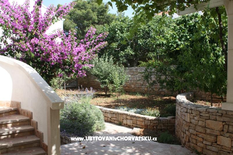 Appartements Grma – Ferienwohnung Insel Brac, Kroatien – Foto 2