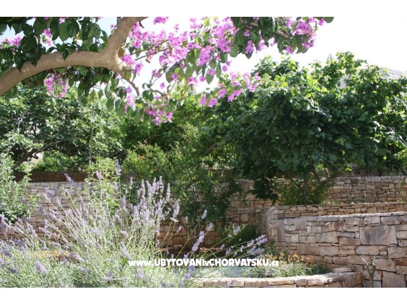 Appartements Grma – Ferienwohnung Insel Brac, Kroatien – Foto 4