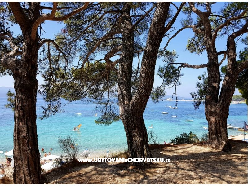 Apartmány Jurisic – ubytování Brač, Chorvatsko – foto 7