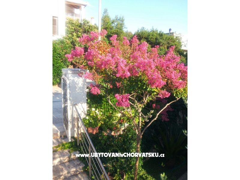 Appartements Kunac – Ferienwohnung Insel Brac, Kroatien – Foto 13