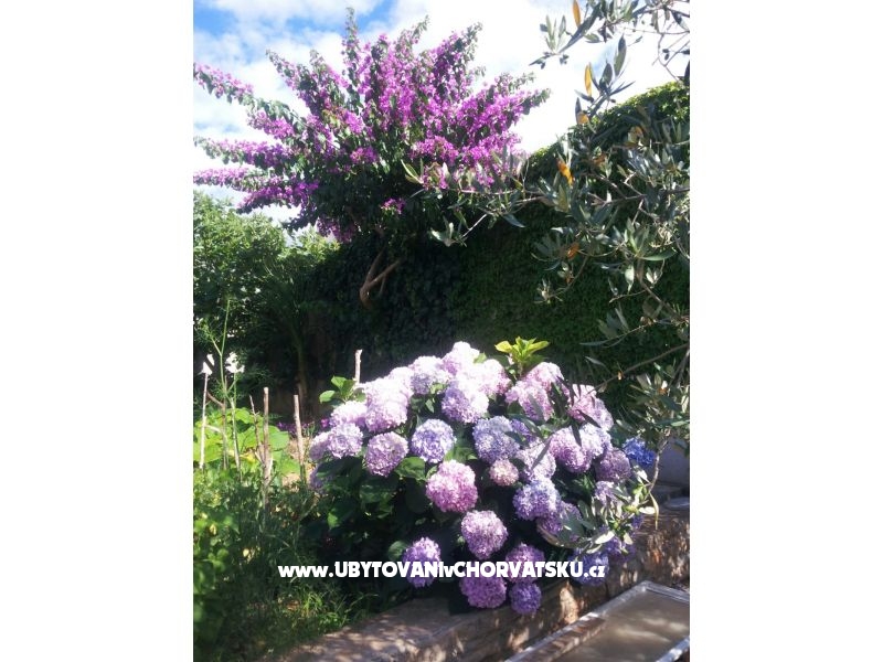 Appartements Kunac – Ferienwohnung Insel Brac, Kroatien – Foto 8