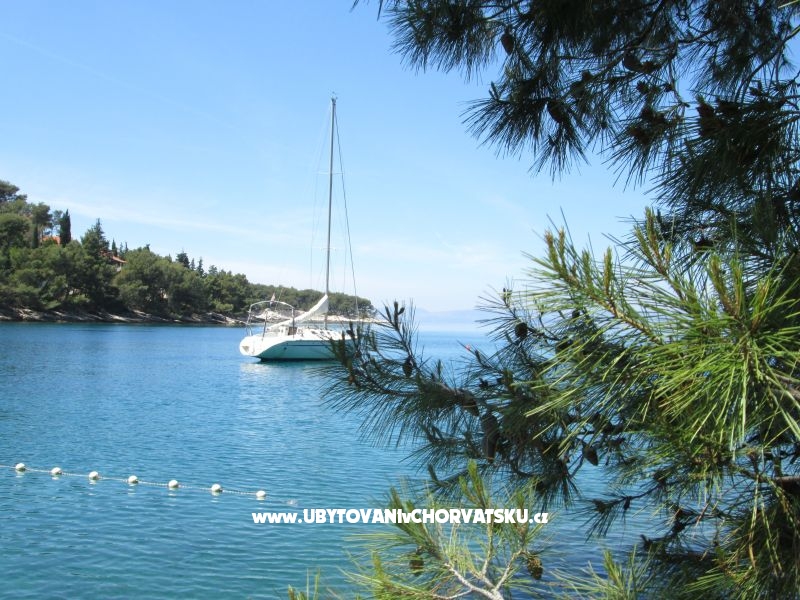 Ferienwohnungen Miha – Ferienwohnung Insel Brac, Kroatien – Foto 18