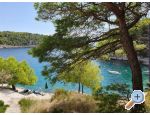 Appartements Rogosic Osibova - Bra Croatie