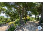 Apartmny Chiaro - Bra Chorvatsko