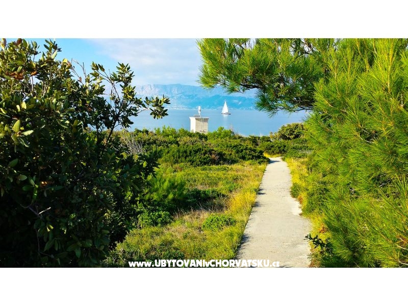 Kuća za odmor Doda uvala Tičja Luka – ubytování Brač, Chorvatsko – foto 18