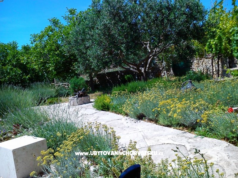 Kuća za odmor Ratac**** – ubytování Brač, Chorvatsko – foto 10