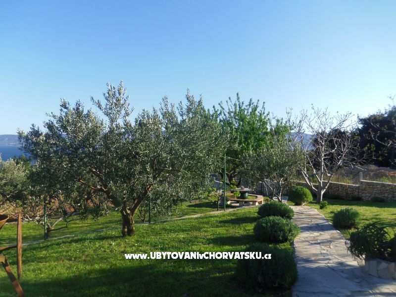 Kuća za odmor Ratac**** – ubytování Brač, Chorvatsko – foto 11