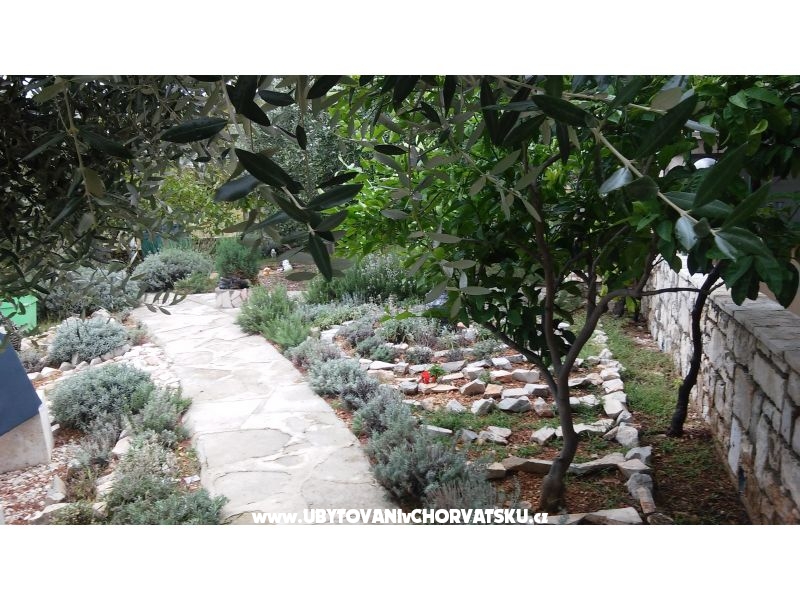 Kuća za odmor Ratac**** – ubytování Brač, Chorvatsko – foto 7