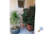 Apartmaji Vesna - Bra Hrvaka