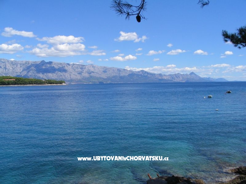 Sea Haus – Ferienwohnung Insel Brac, Kroatien – Foto 18