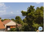Seaview apartment Andrea 200 m from - Bra Chorvatsko