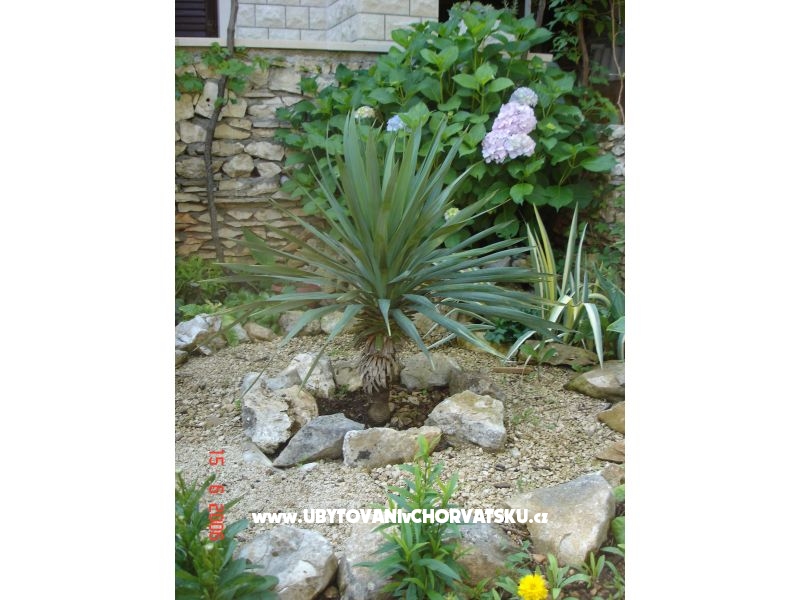 Vila Blanka Sutivan – Ferienwohnung Insel Brac, Kroatien – Foto 5