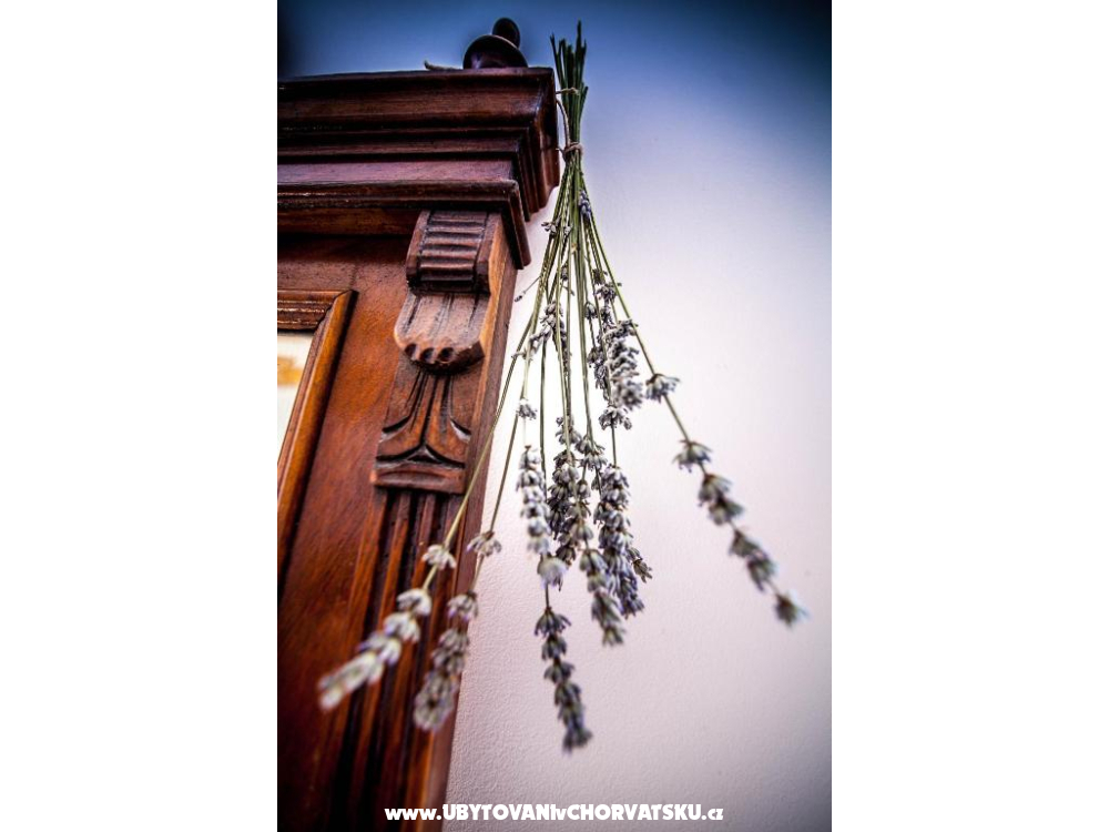 Villa Arboretum - Bra� Chorvatsko