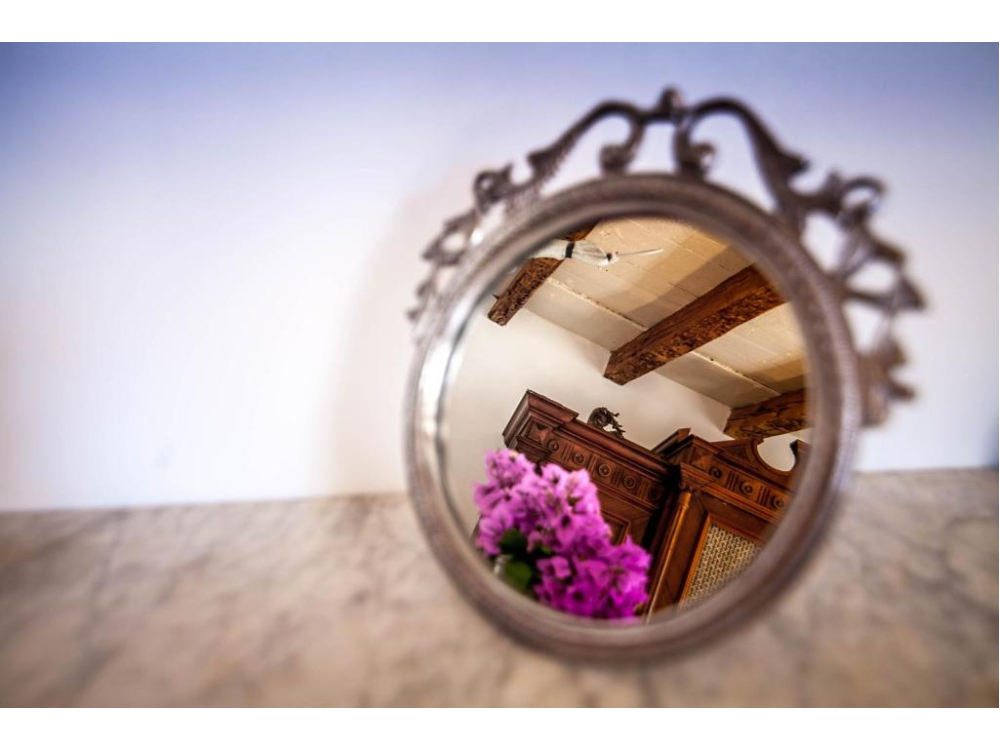 Villa Arboretum - Bra� Chorvatsko