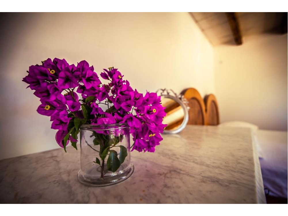 Villa Arboretum - Bra� Chorvatsko