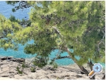 Villa Bili - Bra Kroatien
