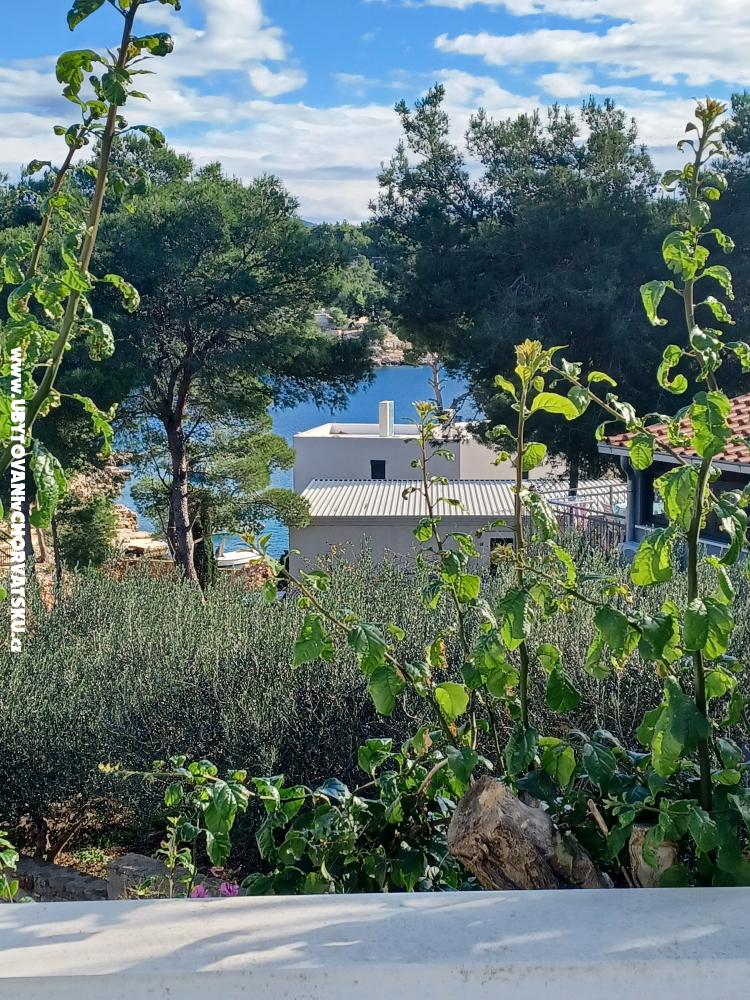 Villa Klara - Bra Croatie