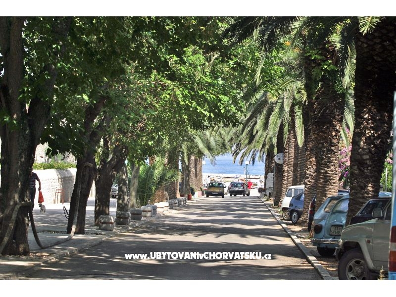 Villa Magda – ubytování Brač, Chorvatsko – foto 15