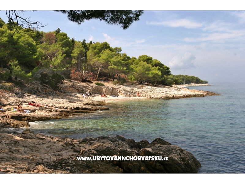 Villa Magda – ubytování Brač, Chorvatsko – foto 18