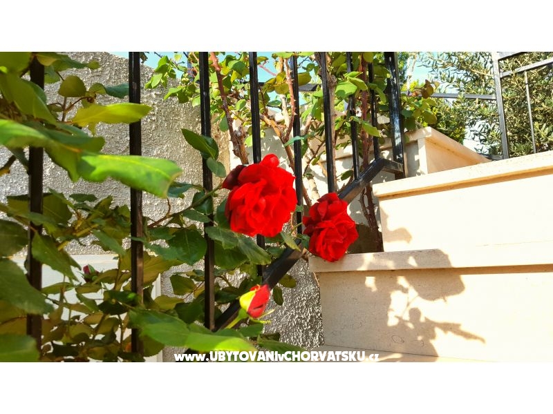 Appartements Bezma – Ferienwohnung Insel Brac, Kroatien – Foto 3