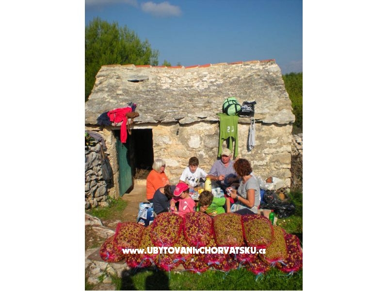 Villa PINA - Selca – Ferienwohnung Insel Brac, Kroatien – Foto 17