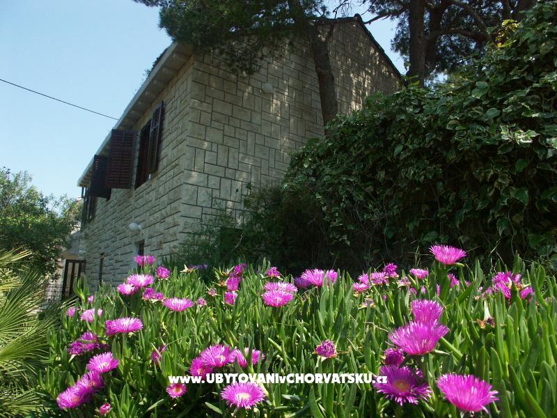 Villa Santa Lucia – Ferienwohnung Insel Brac, Kroatien – Foto 1