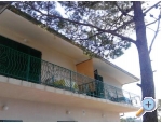 Accommodation Leon - Brela Kroatien
