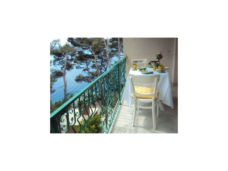 Accommodation Leon - Brela Croatie