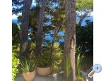 Accommodation Leon - Brela Chorvatsko