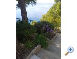 Accommodation Leon - Brela Chorvatsko