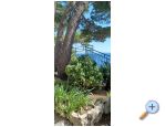Accommodation Leon - Brela Chorvatsko