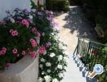 Apartmn Nada ami - Brela Chorvatsko