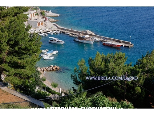 Appartements Darko - Brela Croatie
