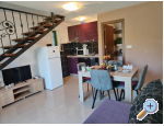 Appartements Nada Mustapi - Brela Kroatien