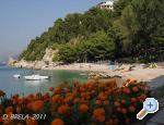Apartmny Nela - Brela Chorvatsko