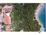 Apartmny Nela - Brela Chorvatsko