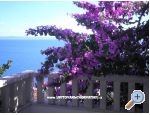 Apartmny Perla - Brela Chorvatsko