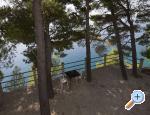 Apartmny Ruica - Brela Chorvatsko