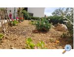 Apartmny Tomas Brela - Brela Chorvatsko