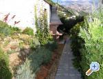 Apartmny Villa Antonio - Brela Chorvatsko