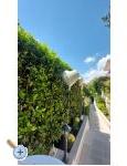 Apartment Renata - Brela Croatia