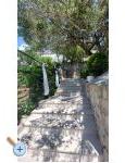 Apartment Renata - Brela Croatia