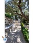 Apartment Renata - Brela Croatia