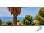 Apartmny Carmen - Brela Chorvatsko