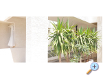 Apartmny Carmen - Brela Chorvatsko