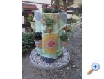 Apartmny  Ivo Pikolo - Brela Chorvatsko