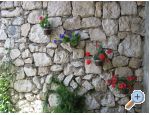 Apartmny  Ivo Pikolo - Brela Chorvatsko