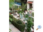 Apartmny  Ivo Pikolo - Brela Chorvatsko