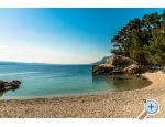 View blue apartments - Brela Chorvatsko